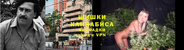 apvp Балахна